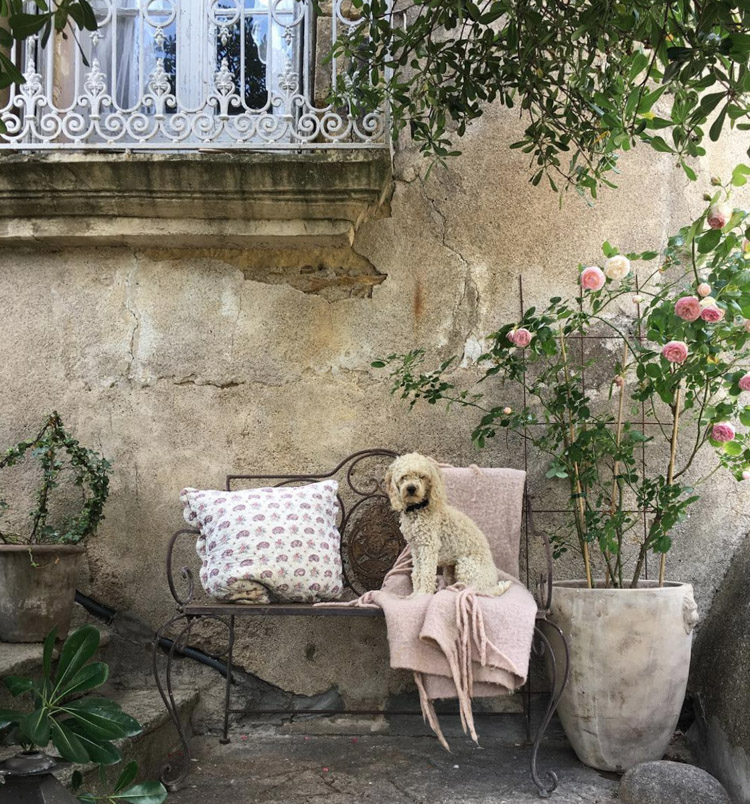 Antigua bodega convertida en una encantadora casa rural