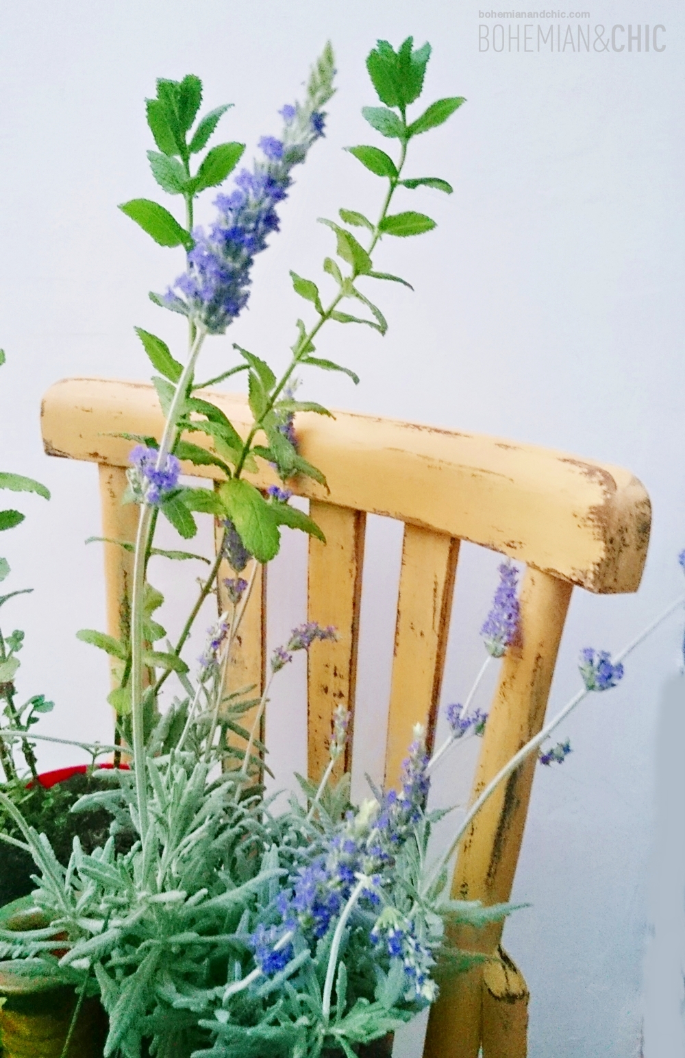 Cómo convertir una vieja silla en macetero con Milk Paint