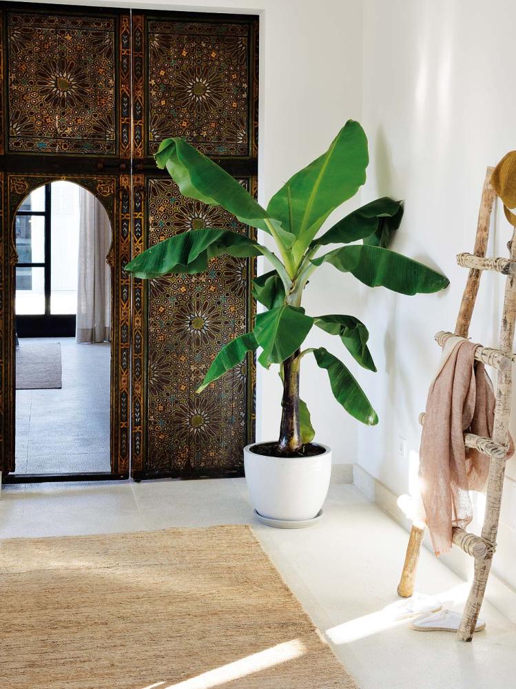 Cal Reitet bajo el sol de Mallorca