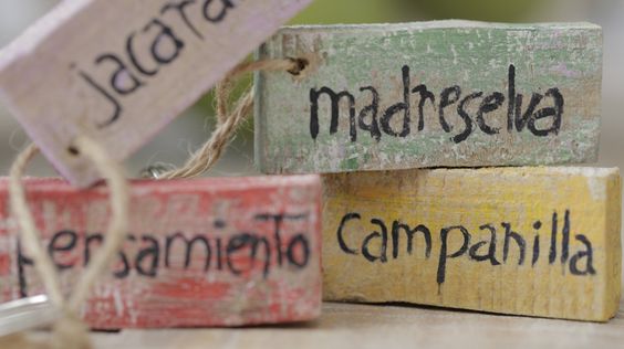 El Pinsapo una casa rural con encanto para perderse