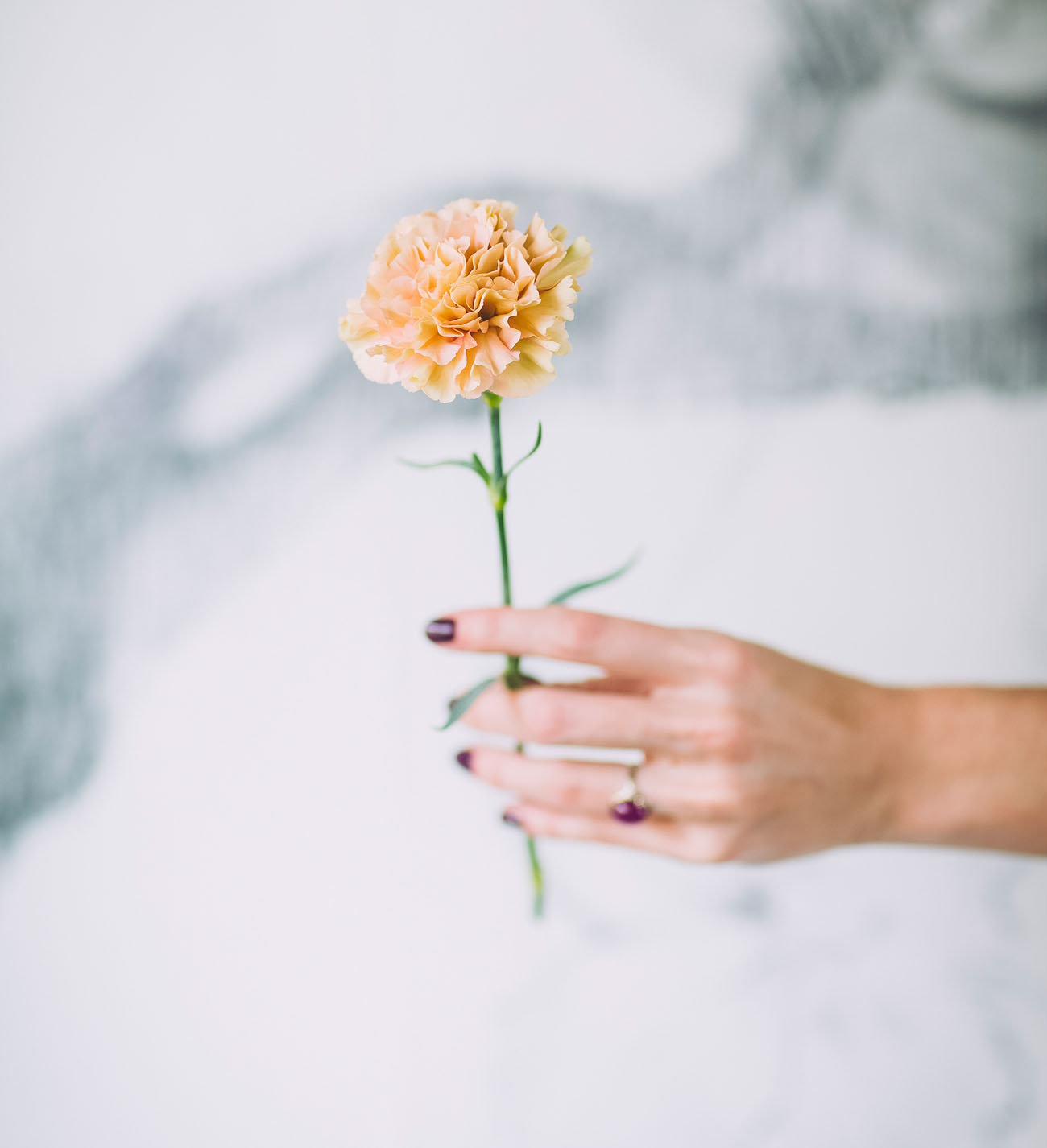 decorar una boda con claveles