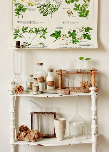 9 ideas para decorar con láminas de botánica